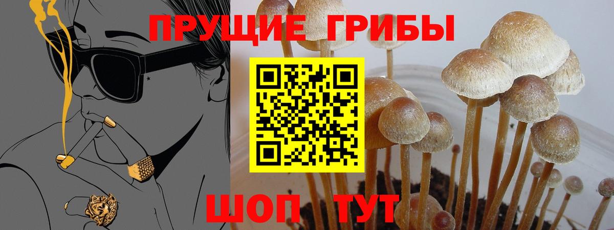 Псилоцибиновые грибы GOLDEN TEACHER Лабытнанги